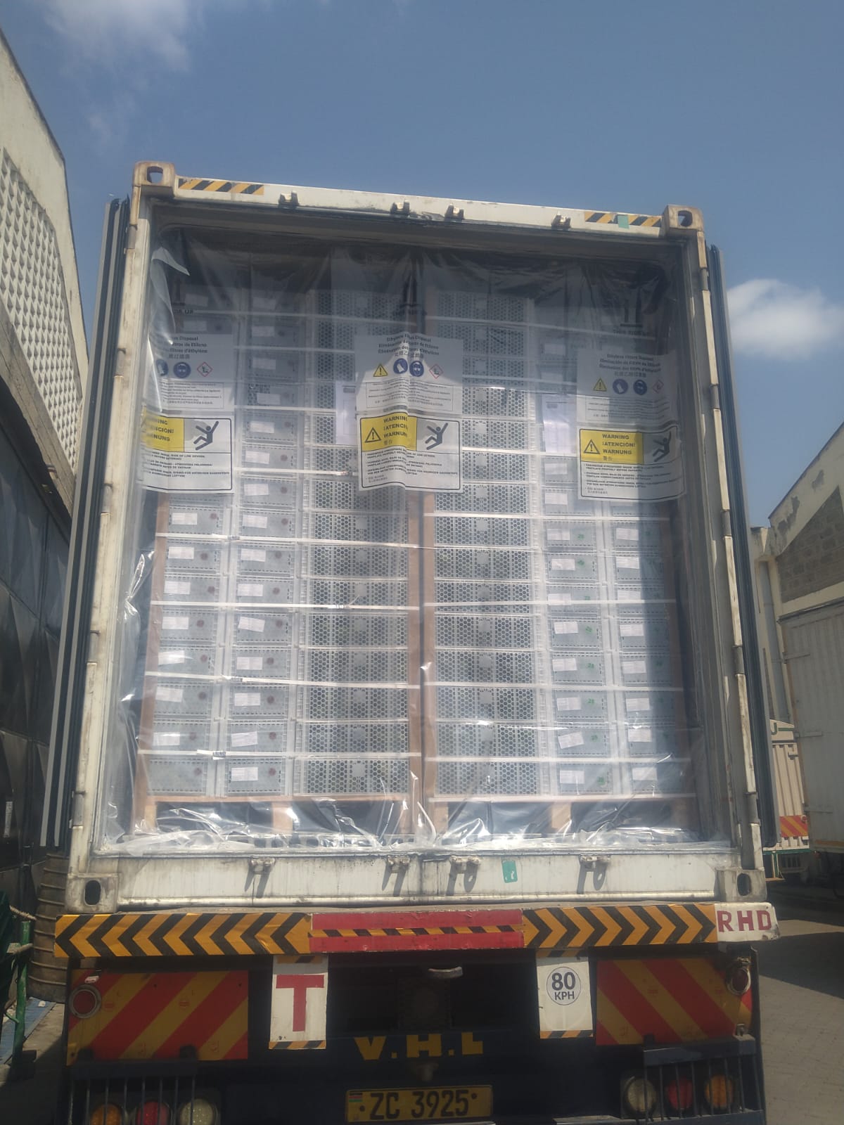 Fresh produce loaded for export in refrigerated handling zone